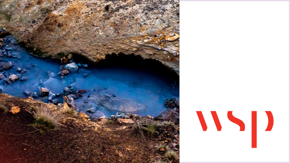 <span id="hs_cos_wrapper_name" class="hs_cos_wrapper hs_cos_wrapper_meta_field hs_cos_wrapper_type_text" style="" data-hs-cos-general-type="meta_field" data-hs-cos-type="text" >WSP genvinder 32% af CO2-aftrykket med ny IT-struktur</span>