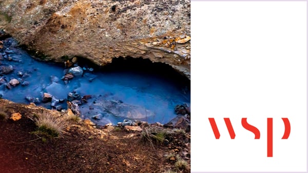 WSP genvinder 32% af CO2-aftrykket med ny IT-struktur