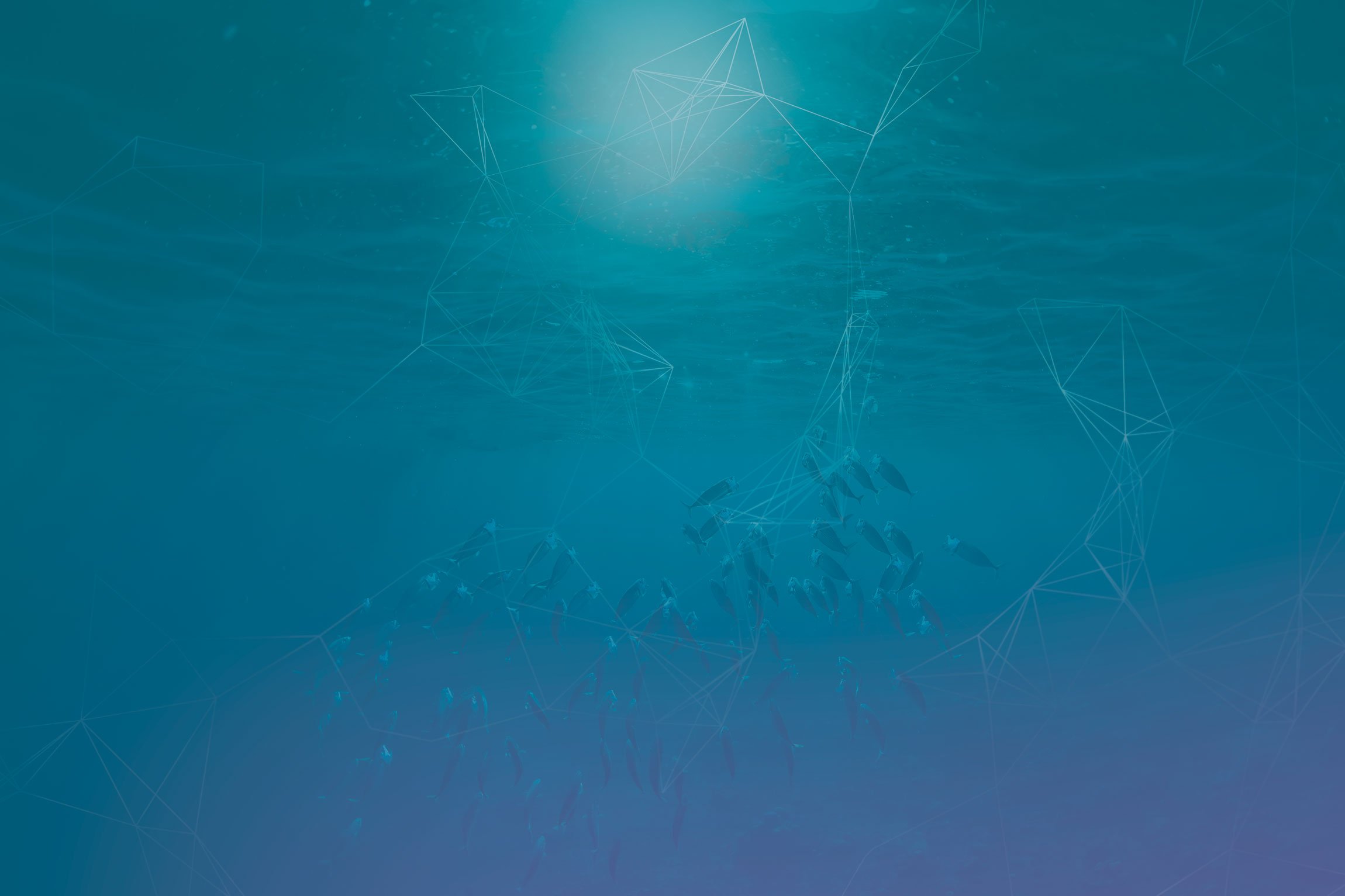 Advania-IT-infrastruktur-fish