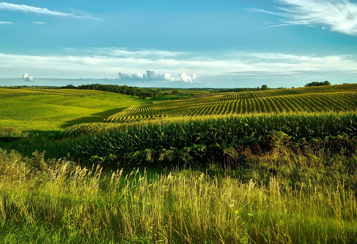 Green-Fields-Denmark-Sustainability-Resize