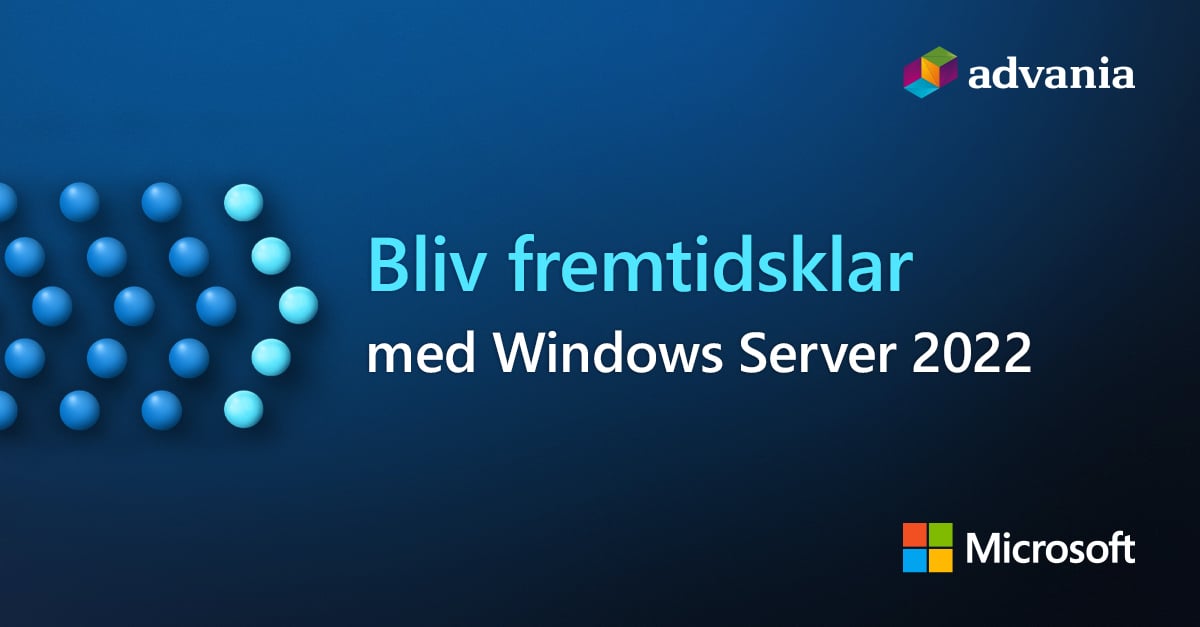 Microsoft > Windwos Server 2022