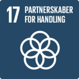 17 - Partnerskaber