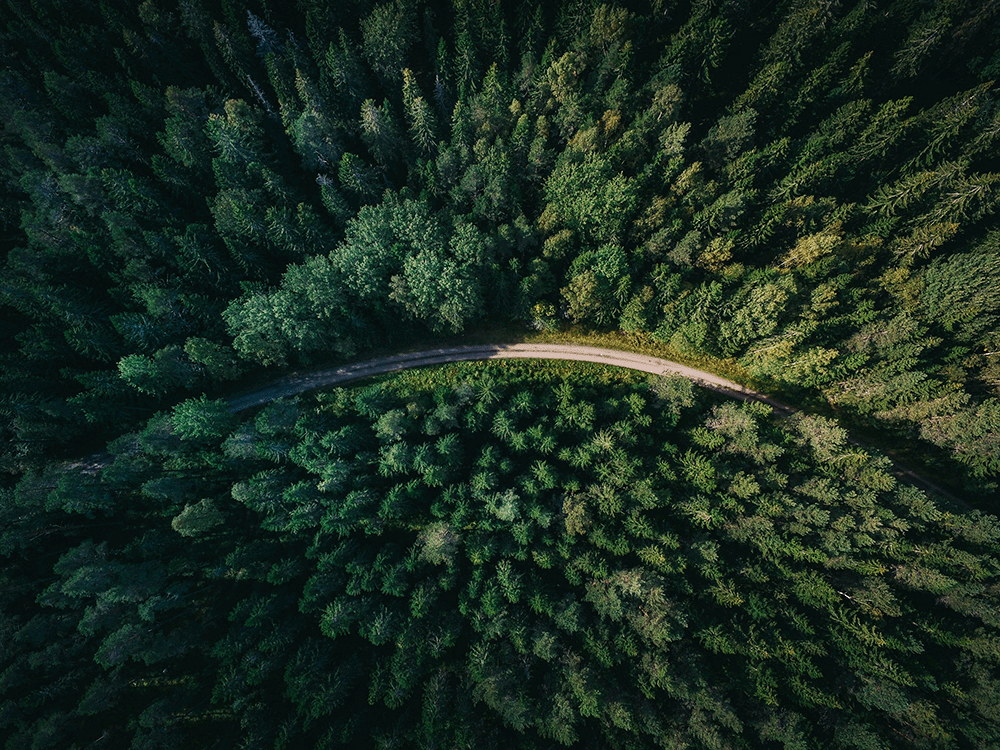 woods-geranimo-qzgN45hseN0-unsplash-compressed